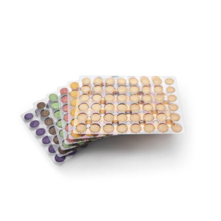 Μακαρόν μικρό ποικιλία 6 γεύσεων